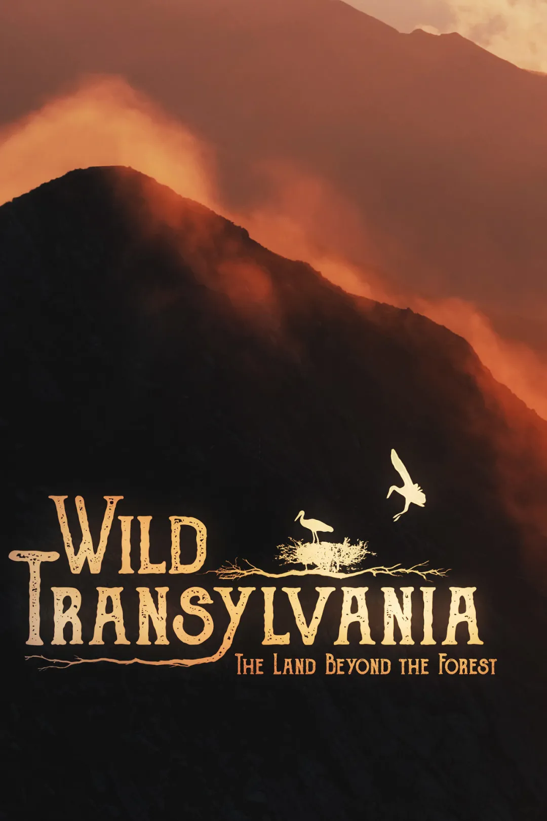 Wild Transylvania (inff 2026)